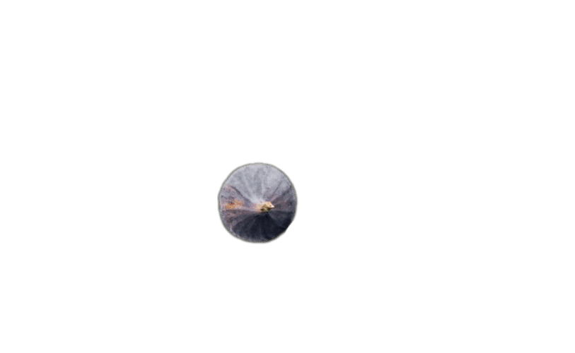 bg_page_title2.2