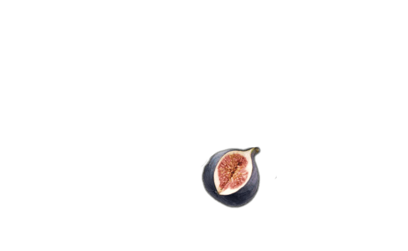 bg_page_title2.3