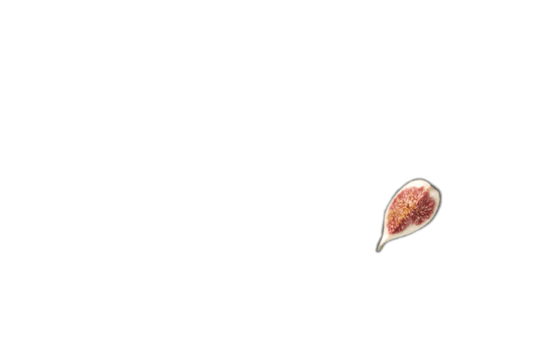 bg_page_title2.4