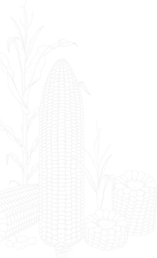 about-us8