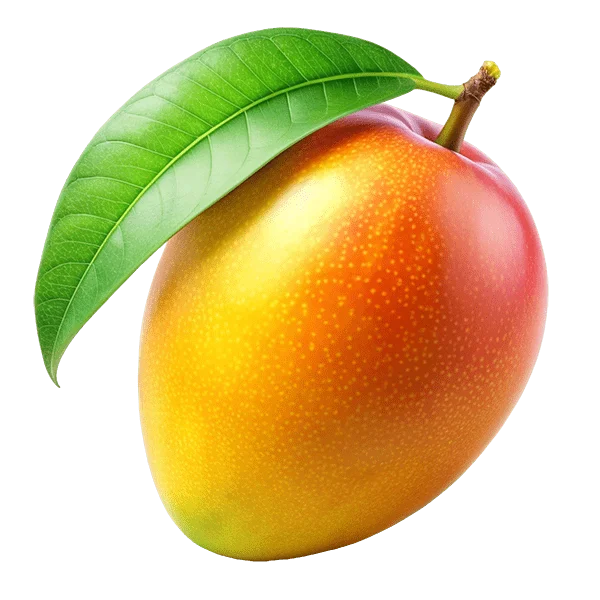 Mango (Alphanso)