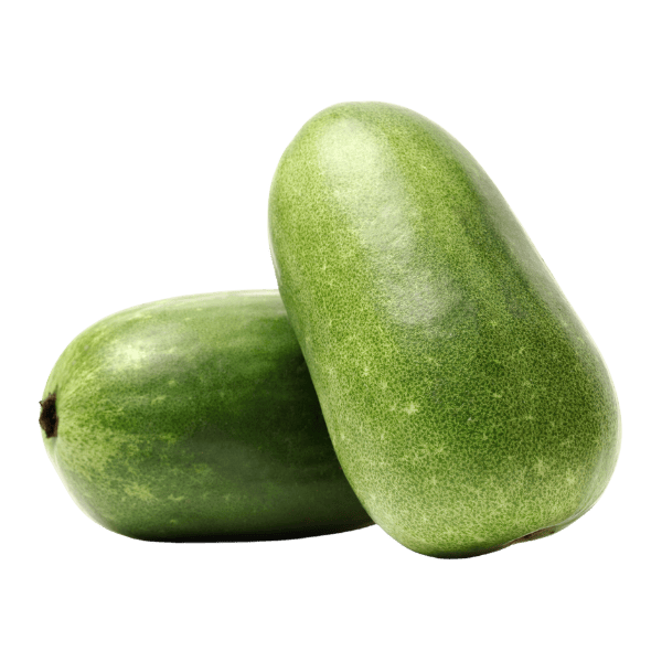Ashgourd