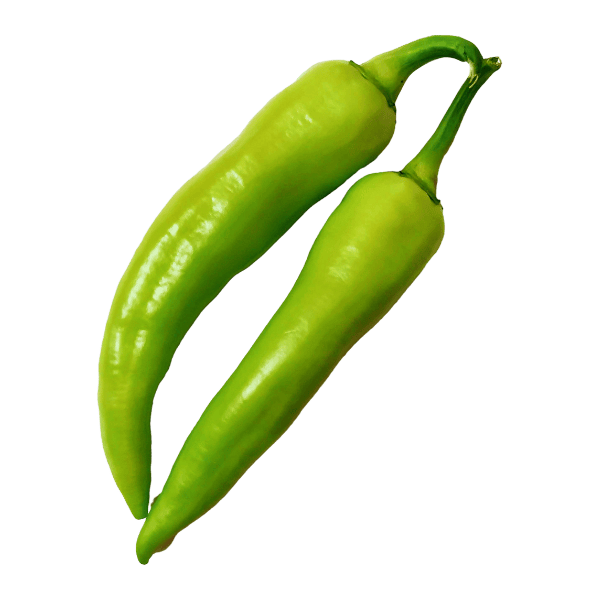 Bajji Chilli