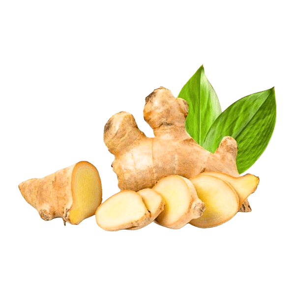 Ginger