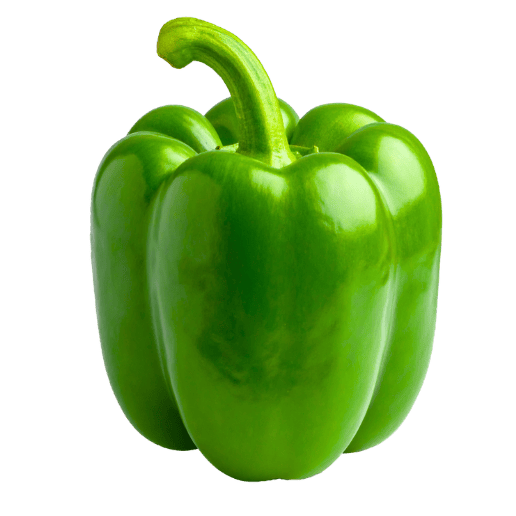 Capsicum